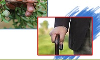 دولت بازنشستگان تامین اجتماعی را نادیده نگیرد/عدالت درافزایش حقوق